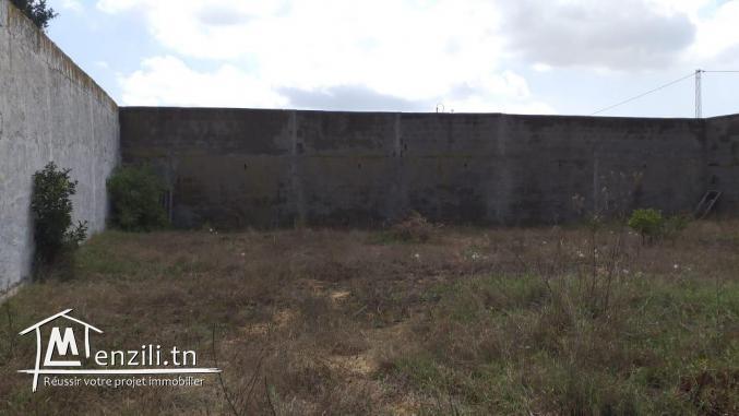 terrain 436 m2  à soukra