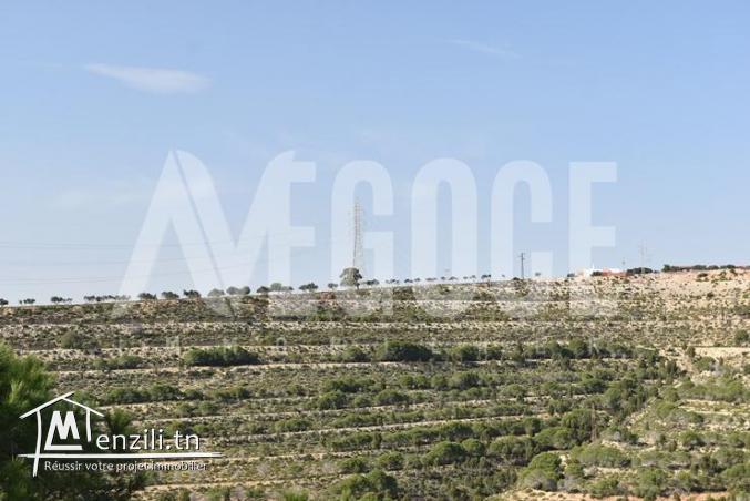 un superbe terrain vue de mer