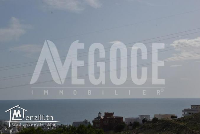 un superbe terrain vue de mer