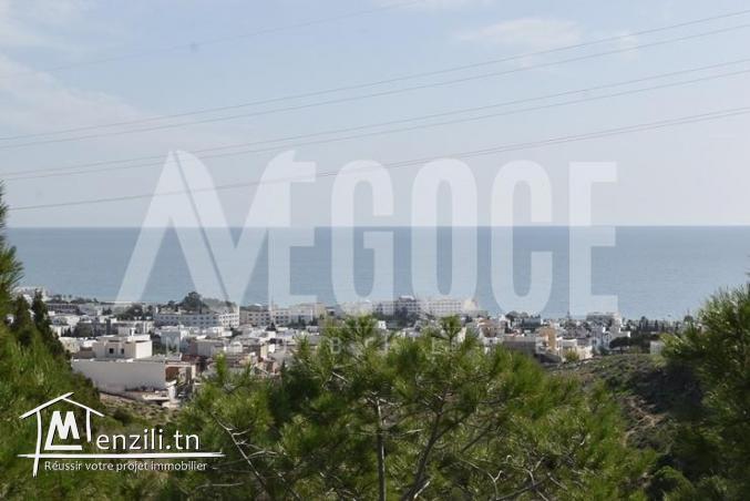 un superbe terrain vue de mer