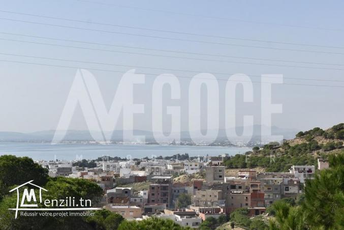 un superbe terrain vue de mer