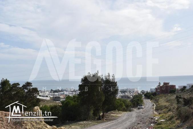 un superbe terrain vue de mer