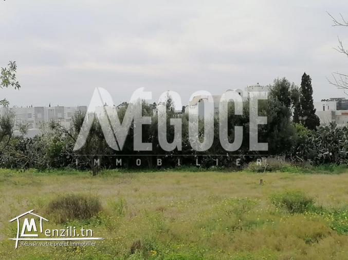 un superbe terrain de 400 m2 