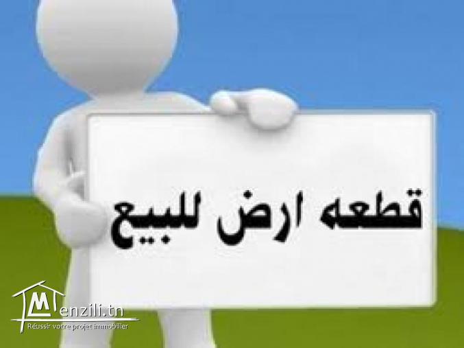 ارض بناء بمساكن