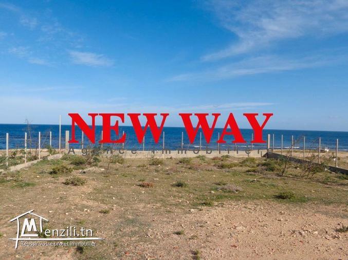 Un Terrain à hergla, pied dans l'eau