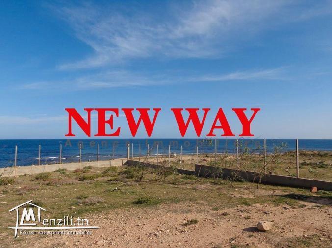 Un Terrain à hergla, pied dans l'eau