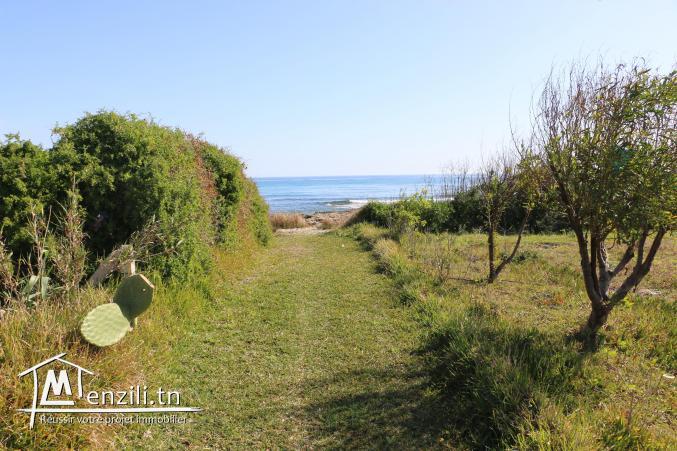 Villa Pieds dans l'eau sur terrain 6000 m2