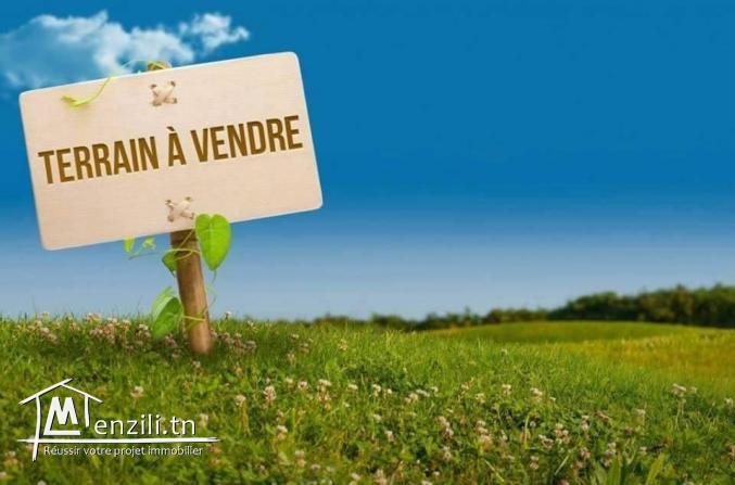 terrain 72m2 centre ville hammamet