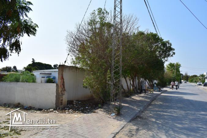 un terrain extraordinaire à chotrana 2