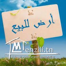 Terrain de 214 m2  à Kélibia