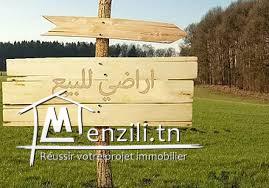 Terrain de 280 m2  à Kélibia