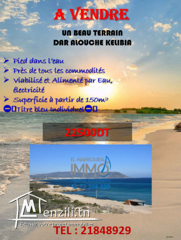 un beau terrain a vendre dar alouche kelibia