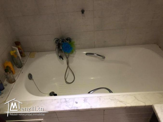 STUDIO NON MEUBLÉ LAC 2 AVEC VUE DÉGAGER SANS VIS A VIS