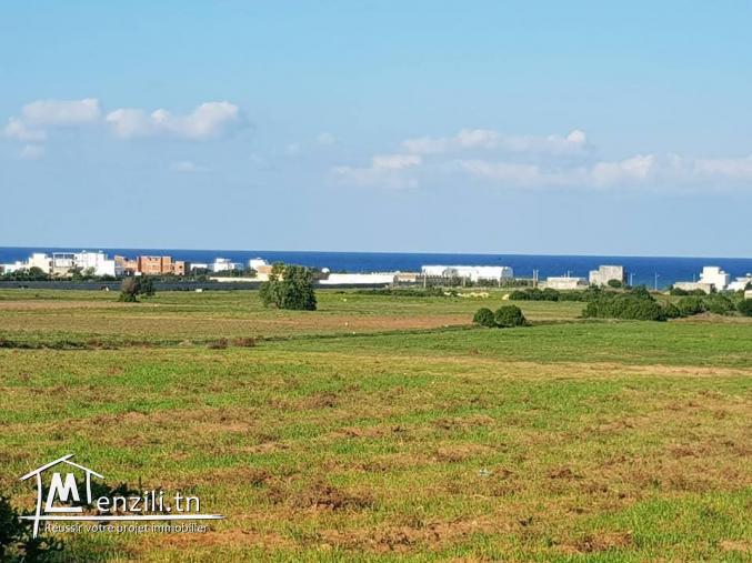 Terrain de 300 m2 à Haouaria