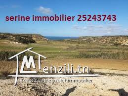 un lot de terrain a bir ljadi el haouaria sur la rue godronné avec titre bleu