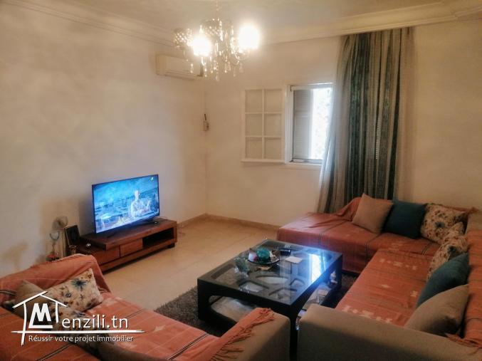 Spacieux appartement s+3