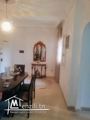 Spacieux appartement s+3