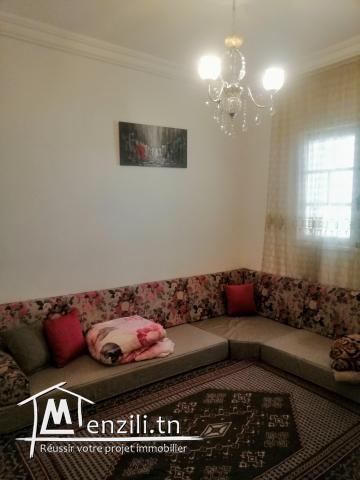 Spacieux appartement s+3