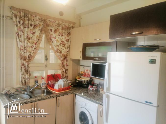 Spacieux appartement s+3