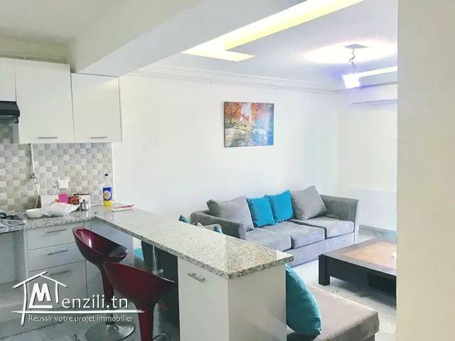 Appartement luxueusement meublé S +1