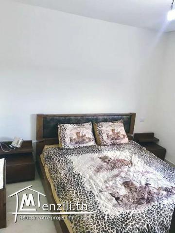 Appartement luxueusement meublé S +1