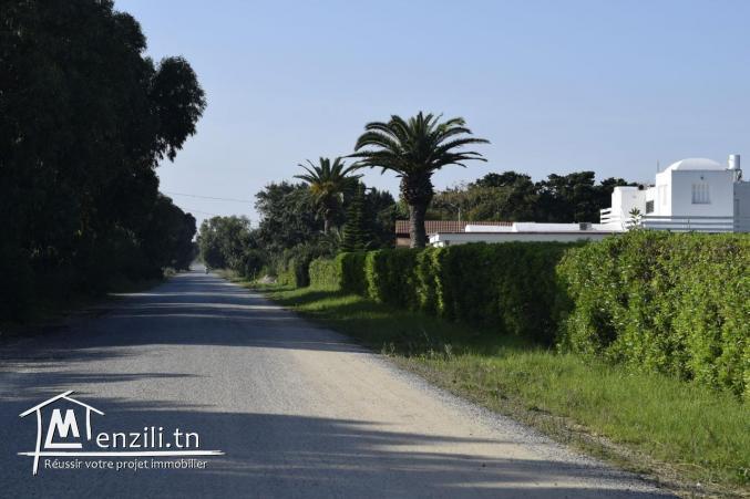 Terrain à vendre à Menzel Ibrahim