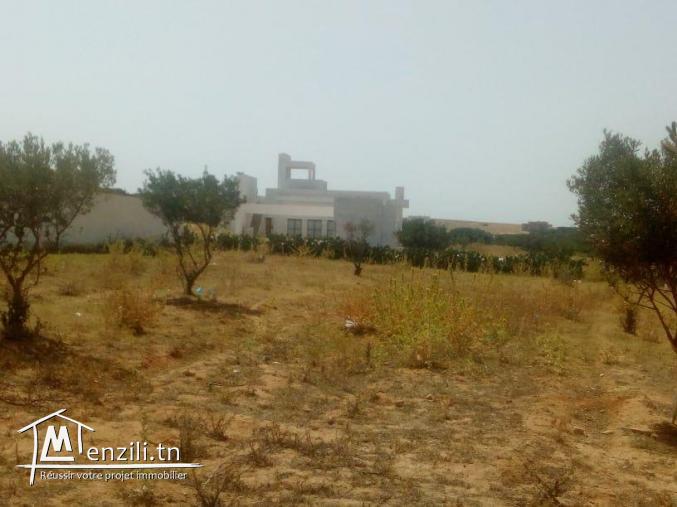terrain 300m2 route 71 sidi metir yasmine hammamet