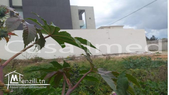 un superbe terrain de 325 m2