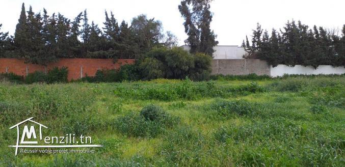 terrain de 310 m2 à la soukra