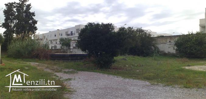 un beau terrain a chotrana 2