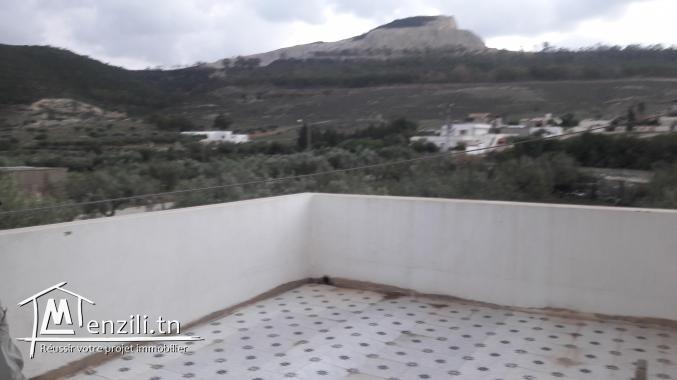 villa avec piscine 1400 m2