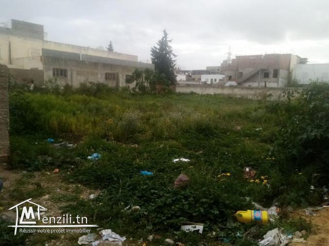 Terrain de 317 m2 à La Marsa