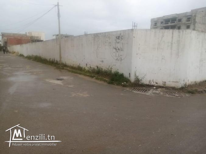 Terrain de 317 m2 à La Marsa