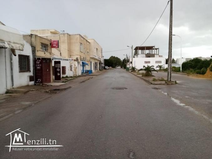 Lotissement des terrains à La Marsa