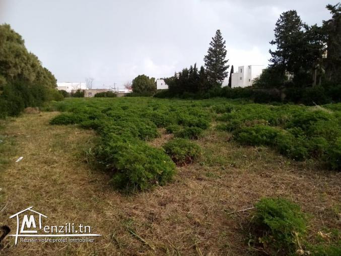 Lotissement des terrains à La Marsa