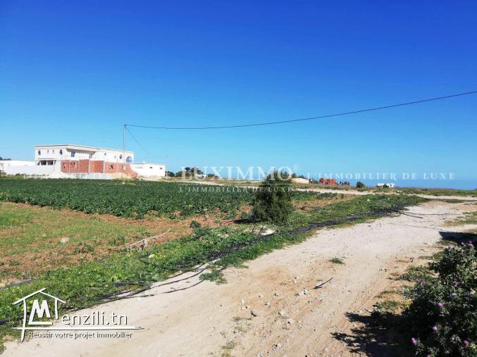 terrain constructible