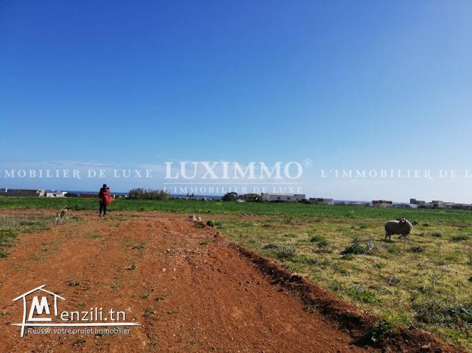 terrain constructible