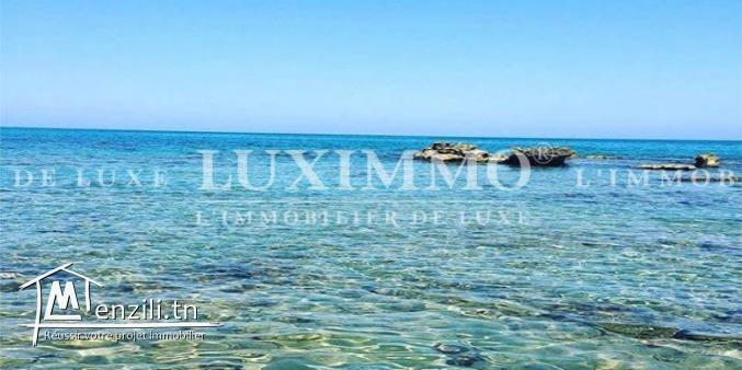 terrain 1ere position