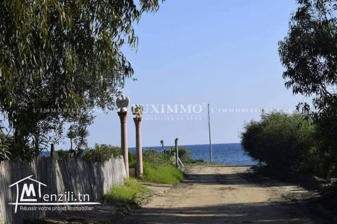 terrain 1ere position