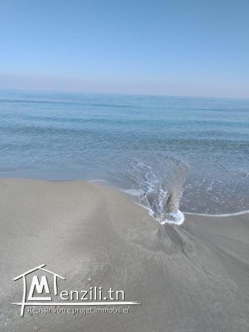 terrain vue mer a dar allouch