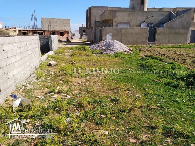 terrain a dar allouche de 250 m2