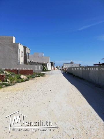 terrain a dar allouche de 250 m2