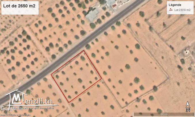 Terrain  2650 m2 À Oued Zbib - Jamaa Ellil - Djerba