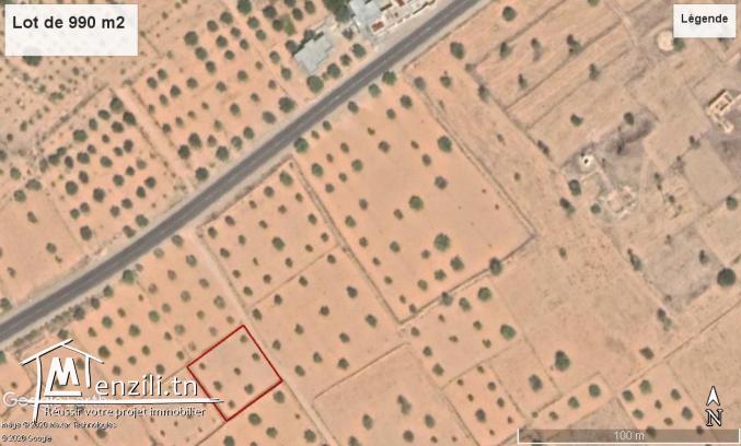 Terrain de 990 m2 à Oued Zbib Jamaa Ellil – Djerba