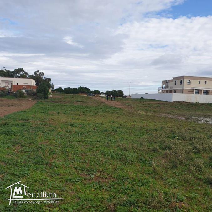 offre speciale / 26122779