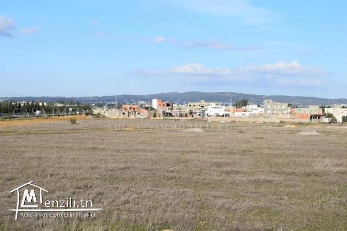 terrain de 175 m2 à hammamet