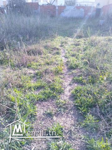 terrain de 785 m2