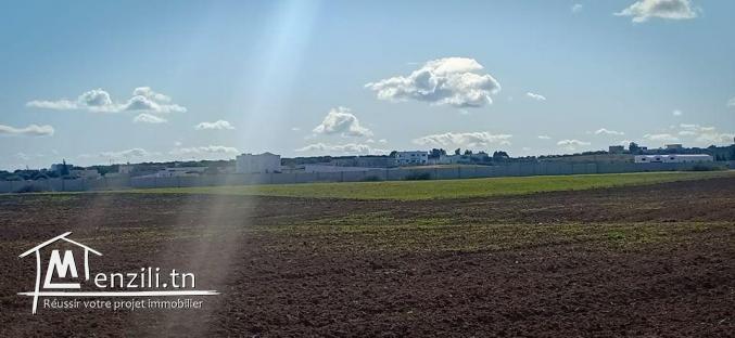 un terrain de 175 m2 a prix raisonnable
