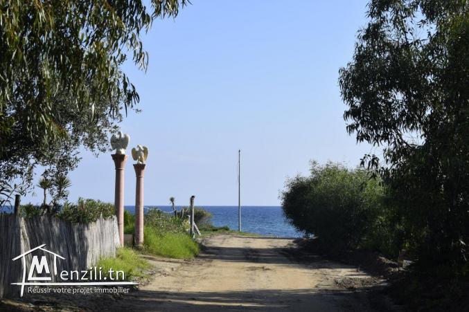 un terrain à vendre