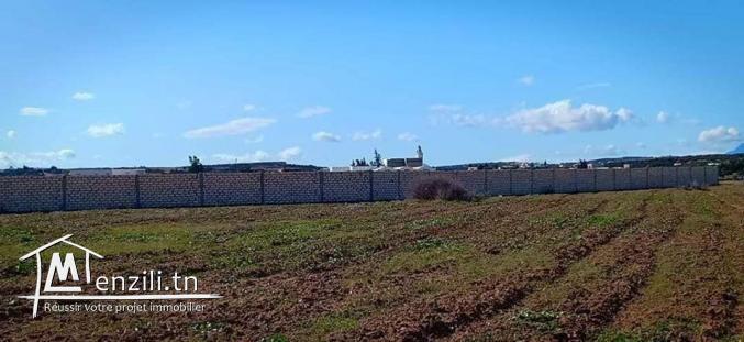 un terrain à Hammamet